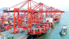 Chính phủ ban hành 15 Nghị định về Biểu thuế nhập khẩu ưu đãi đặc biệt