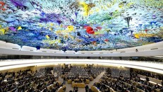 Hội đồng Nhân quyền LHQ thông qua Nghị quyết do Việt Nam đề xuất và soạn thảo