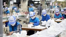 Lĩnh vực dệt may sử dụng nhiều lao động.