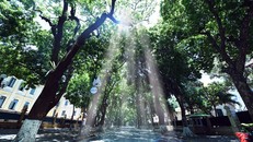 Nhiều thành phố có chỉ số tia cực tím rất cao