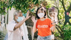 Nhãn Hưng Yên và một mùa thu hoạch thật khác 