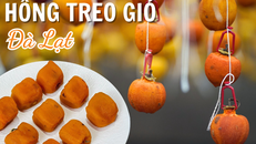 Hồng treo gió: 40 ngày “chuyển mình” để đổi lại sự dẻo dai trước cái lạnh âm độ