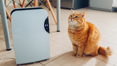 4 món đồ gia dụng nên sắm khi vào mùa mưa