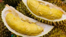 Mua sầu riêng, ghi nhớ 3 mẹo này để chọn quả nào cũng ngon