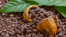 Hành trình hạt cacao, trái dừa "hóa thân" từ nguyên liệu thô thành đặc sản ĐBSCL