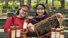 Lưu giữ vị ngọt núi rừng đại ngàn trong từng giọt mật ong của Tiệm Phố Núi