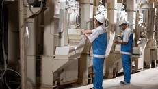 Doanh nghiệp Việt nâng tầm “hạt ngọc trời” bằng phương pháp canh tác đặc biệt