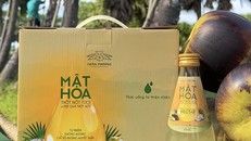 Nỗ lực duy trì nghề truyền thống lấy mật hoa thốt nốt của doanh nghiệp bản địa tại An Giang