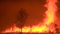 Toàn cảnh sự tàn phá nặng nề của vụ cháy rừng lịch sử tại Mỹ