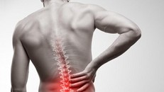 Phương pháp Chiropractors thực sự có khả năng làm giảm đau nhức