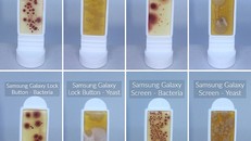 Điện thoại di động có lượng vi khuẩn gấp 10 lần bồn cầu vệ sinh