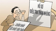 Điên đúng… qui trình!