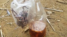 Hai người tử vong sau khi uống rượu ngâm rễ cây