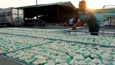 10 năm Chiến lược biển Việt Nam: Thái Bình phát triển kinh tế hướng ra biển