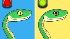 Bí kíp nhận diện rắn có độc hay không từ A - Z