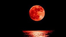 Siêu Trăng máu - Trăng sói xuất hiện cùng lúc ở Bắc bán cầu