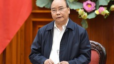 Thủ tướng yêu cầu mua sớm 200.000 tấn gạo dự trữ