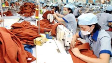 Việt Nam có thể trở thành nhà cung cấp lớn của Mỹ