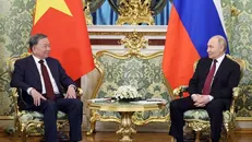 Tổng Bí thư Tô Lâm hội đàm hẹp với Tổng thống Nga Vladimir Putin. Ảnh: Thống Nhất/TTXVN