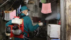 Lực lượng chức năng phun hóa chất phòng bệnh sốt xuất huyết. Ảnh: PV/Vietnam+