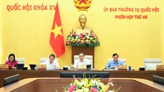 Chủ tịch Quốc hội và các Phó Chủ tịch Quốc hội tại Phiên họp