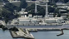 Nhà máy điện hạt nhân Onagawa ở tỉnh Miyagi, Nhật Bản. Ảnh: Kyodo/TTXVN