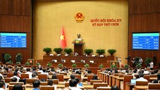 Phiên họp ngày 12/6.