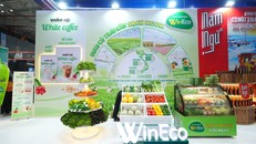 Gian hàng trưng bày bắt mắt của WinEco tại Vietfood 2025, nổi bật với các sản phẩm rau củ quả sạch từ nông trường công nghệ cao.