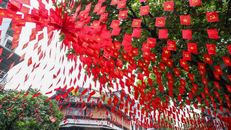 Sắc đỏ cờ Tổ quốc ngập tràn một tuyến phố ở Hà Nội. 