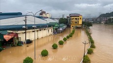 Thủ tướng chỉ đạo khẩn trương khắc phục hậu quả mưa lũ 