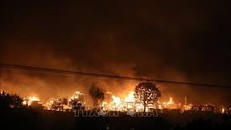 Cháy rừng tàn phá Công viên quốc gia Etosha của Namibia