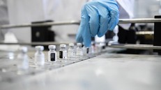 H9N2 đã gây 173 ca nhiễm ở người kể từ năm 1998, chủ yếu tại Trung Quốc