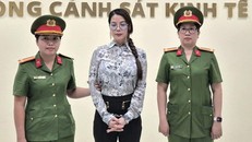 Trương Ngọc Ánh tại cơ quan điều tra