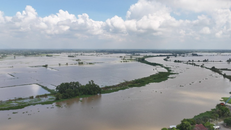 Nước sông Vàm Cỏ Đông (đoạn chảy qua địa phận xã Thạnh Đức, tỉnh Tây Ninh) dâng cao, gây ngập nhiều diện tích đất nông nghiệp của người dân.