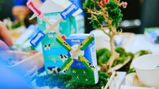 Những chiếc vỏ hộp sữa Vinamilk được “tái sinh” thành những mô hình xinh xắn. Ảnh: Minh Anh