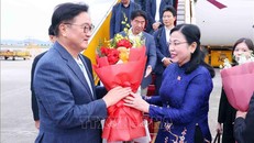 Chủ nhiệm Ủy ban Khoa học, Công nghệ và Môi trường của Quốc hội Nguyễn Thanh Hải đón Chủ tịch Quốc hội Hàn Quốc Woo Won Shik và Phu nhân tại sân bay Quốc tế Nội Bài. Ảnh: TTXVN