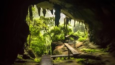 Công viên quốc gia Niah, Malaysia