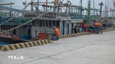 Neo buộc các tàu thuyền trên các đảo ở đặc khu Trường Sa. Ảnh: TTXVN.