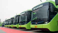 Buýt Liên Ninh đã chuyển đổi toàn bộ đội xe hiện hữu sang sử dụng xe buýt điện.