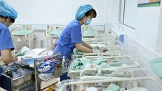 Giữ mức sinh thay thế: Cần can thiệp sớm trước xu hướng sinh thấp kéo dài