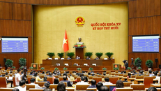 Quốc hội biểu quyết thông qua Luật Tình trạng khẩn cấp.