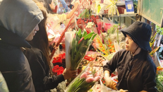 Người dân Hà Nội chọn mua hoa tại chợ. 
