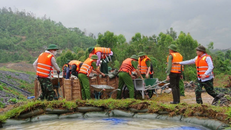 Luyện tập phòng thủ dân sự, ứng phó sự cố đê điều, hồ đập.