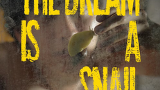 Việt Nam lần đầu cạnh tranh Cành cọ vàng phim ngắn tại liên hoan phim Cannes