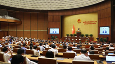 Quốc hội thảo luận 3 dự án luật về Hộ tịch, Công chứng và Trợ giúp pháp lý.