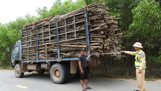 Tổ tuần tra kiểm soát, đội CSGT đường bộ số 1 tiến hành đo đạc, xử lý phương tiện vi phạm. (Ảnh: Hoàng Anh)