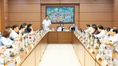 Quang cảnh buổi thảo luận tổ
