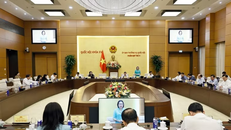 Quang cảnh phiên họp