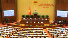 Đại biểu tham gia biểu quyết 