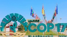COP17 tìm lời giải tài chính cho đa dạng sinh học